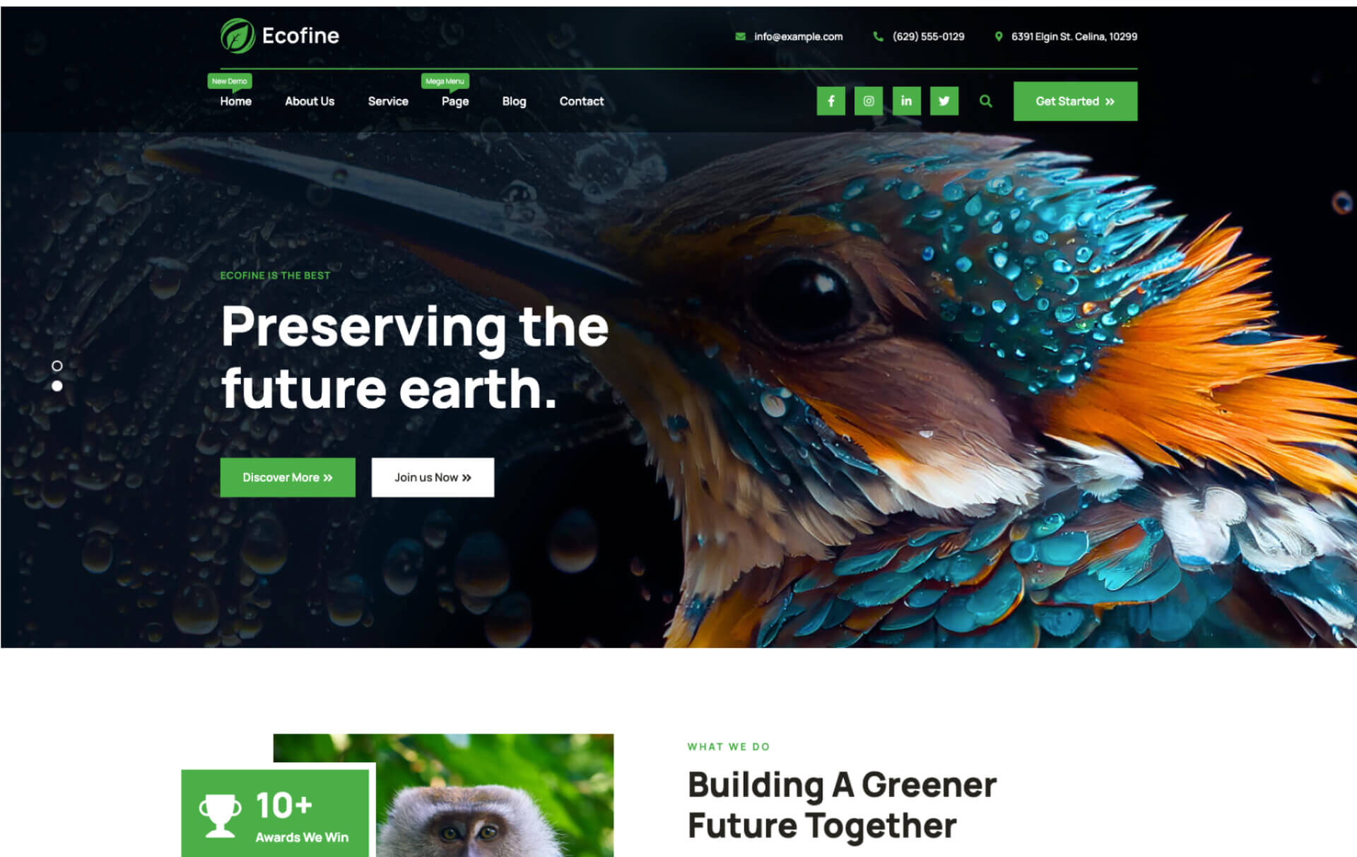 Ecofine - Ecology & Environment WordPress Theme